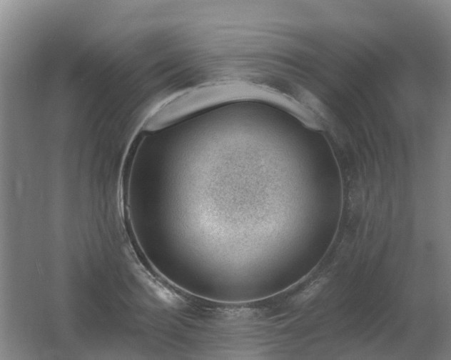 X0000062610940200512230916