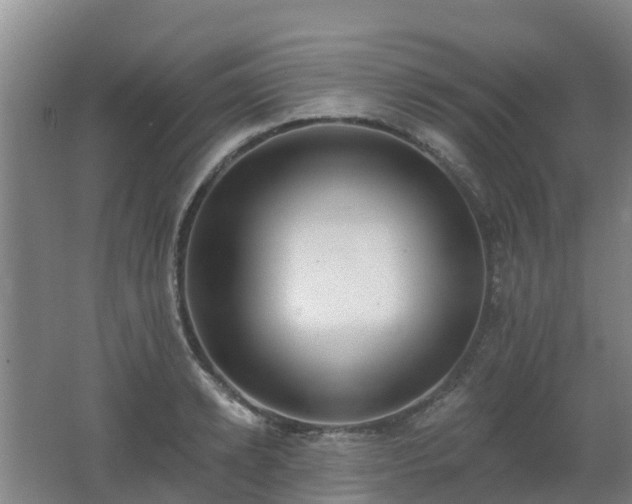 X0000062610942200512230916