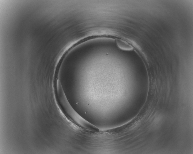 X0000062610943200512230916