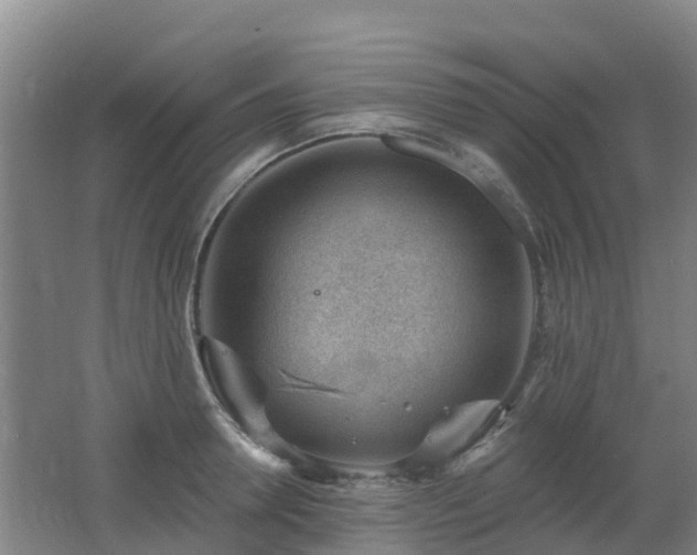 X0000062610946200512230916