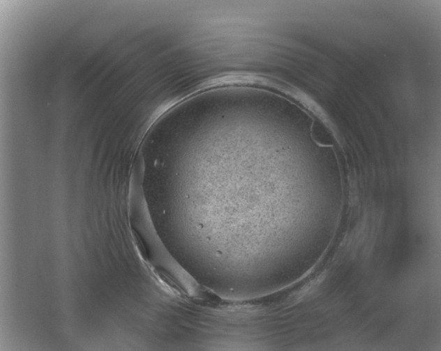 X0000062610953200512230916