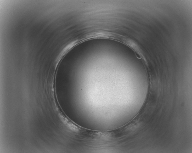 X0000062610954200512230916