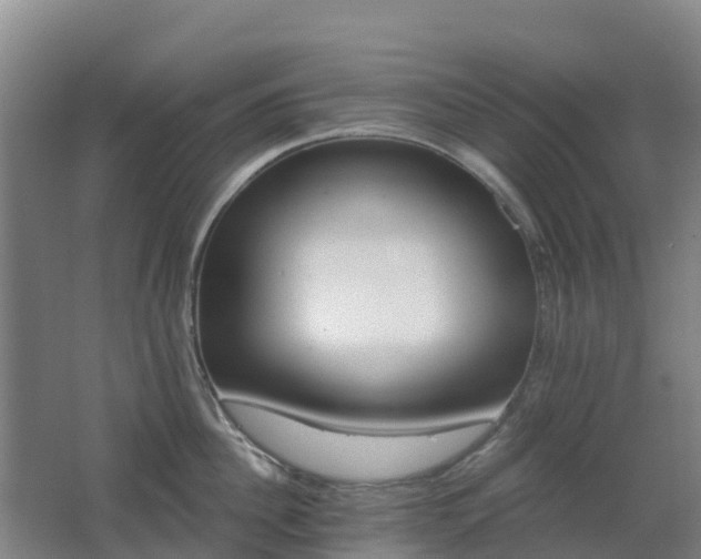 X0000062610956200512230916