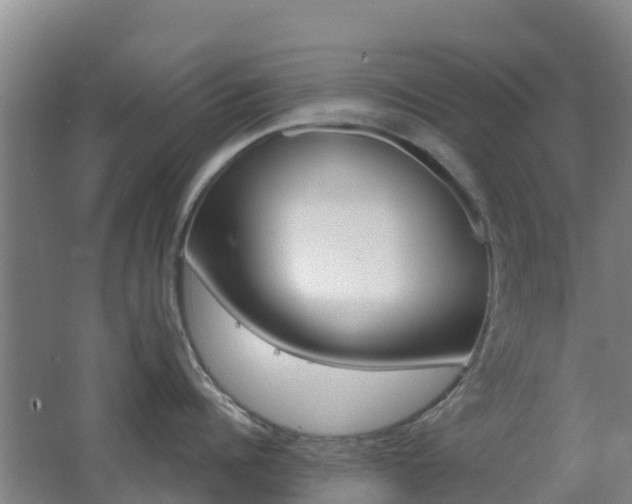 X0000062610960200512230916