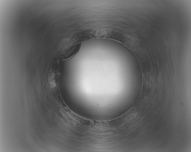 X0000062610962200512230915