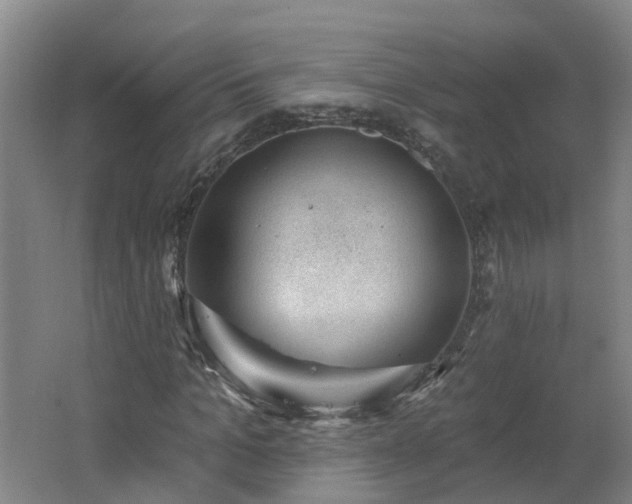 X0000062610965200512230915