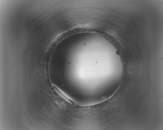 X0000062610968200512230915