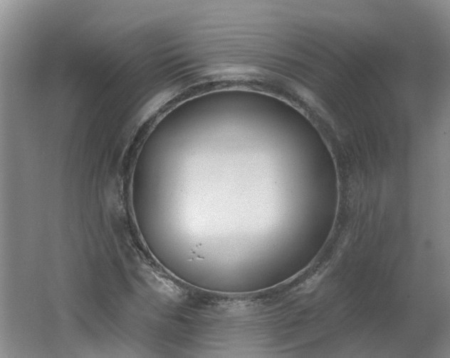 X0000062610970200512230915