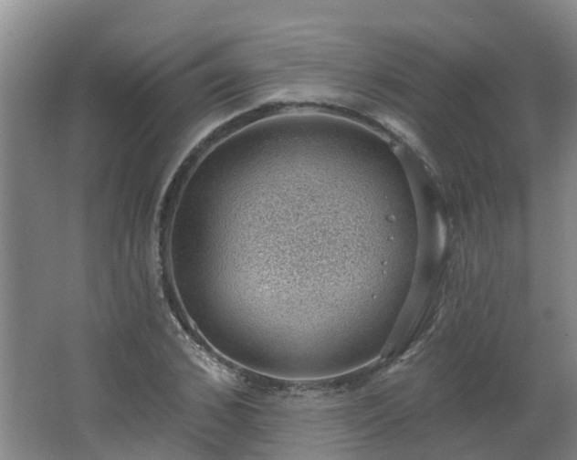 X0000062610976200512230915