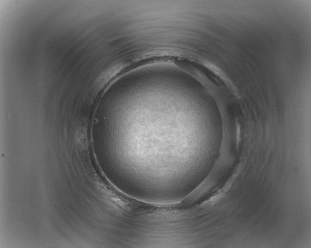 X0000062610977200512230915