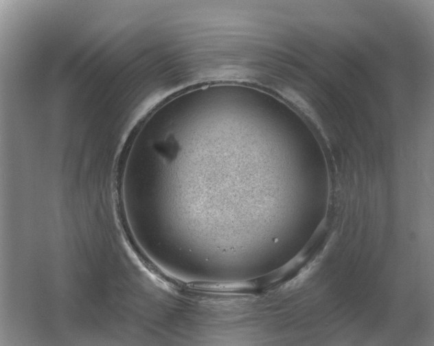 X0000062610989200512230915