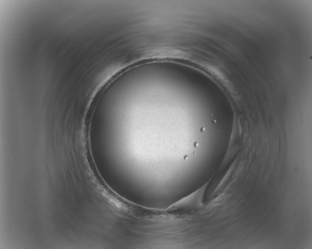 X0000062610990200512230915