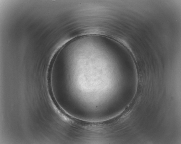 X0000062610995200512230915