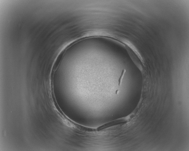 X0000062610996200512230915