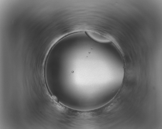 X0000062611004200512230914