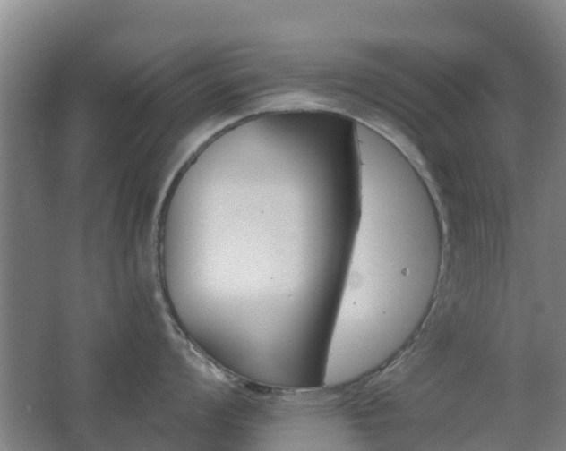 X0000062611008200512230914