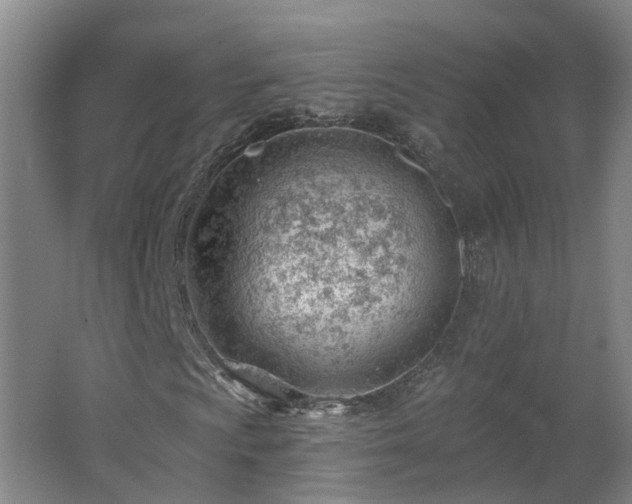 X0000062611009200512230913