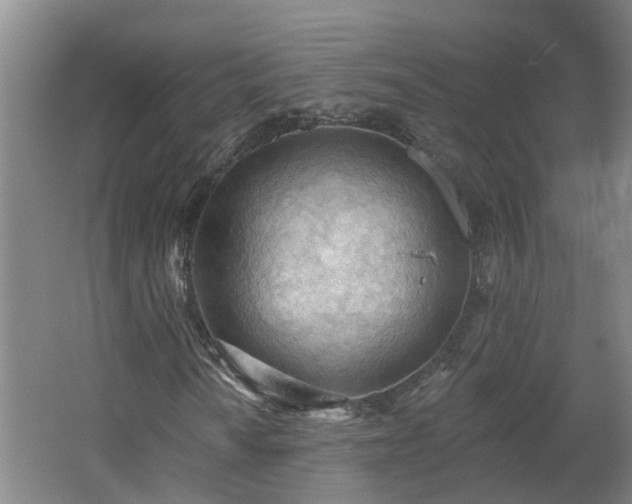 X0000062611010200512230913