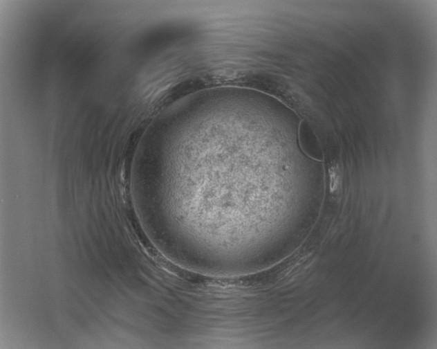 X0000062611011200512230913