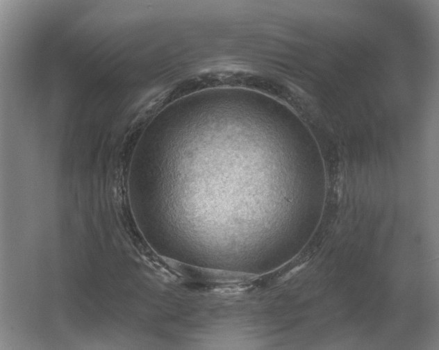 X0000062611014200512230914