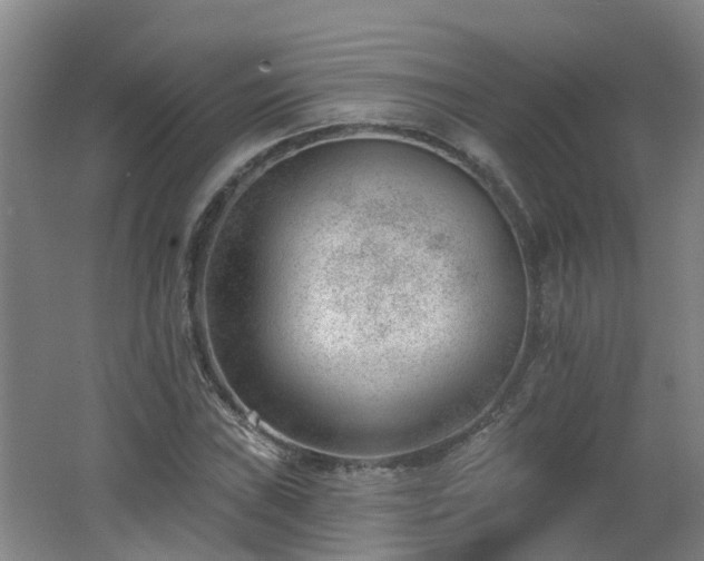 X0000062611019200512230914