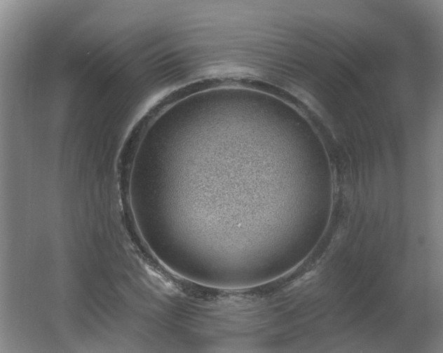 X0000062611022200512230914