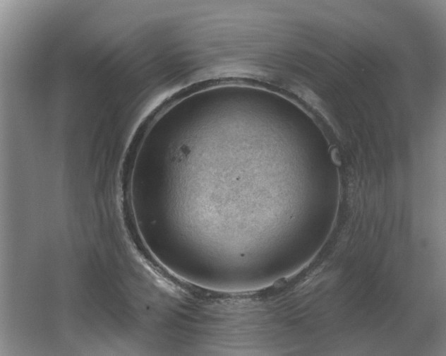 X0000062611024200512230914