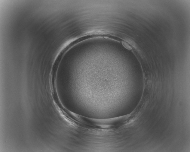 X0000062611030200512230914