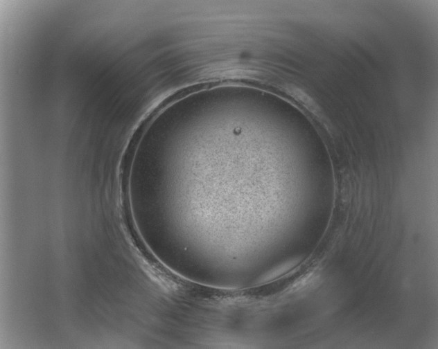 X0000062611031200512230914