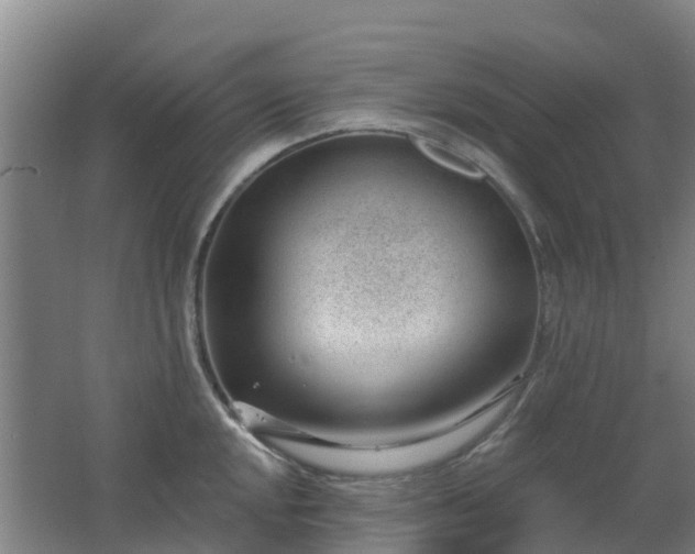 X0000062611048200512230914