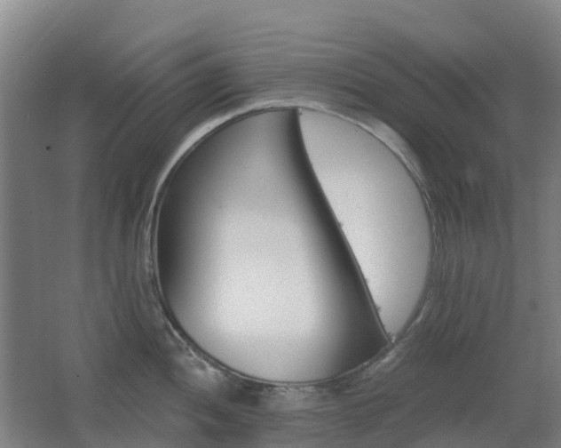 X0000062611052200512230914