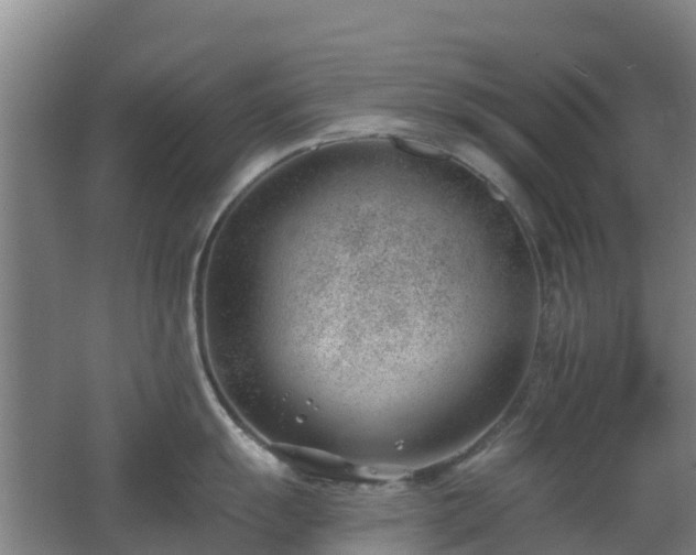 X0000062611055200512230914