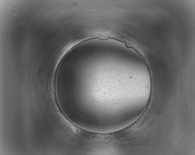 X0000062611056200512230914