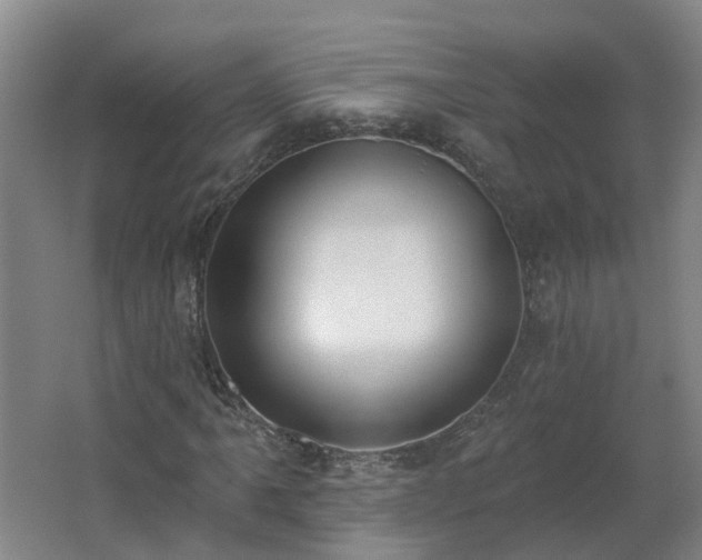 X0000062611061200512230913