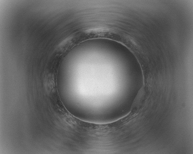 X0000062611062200512230913