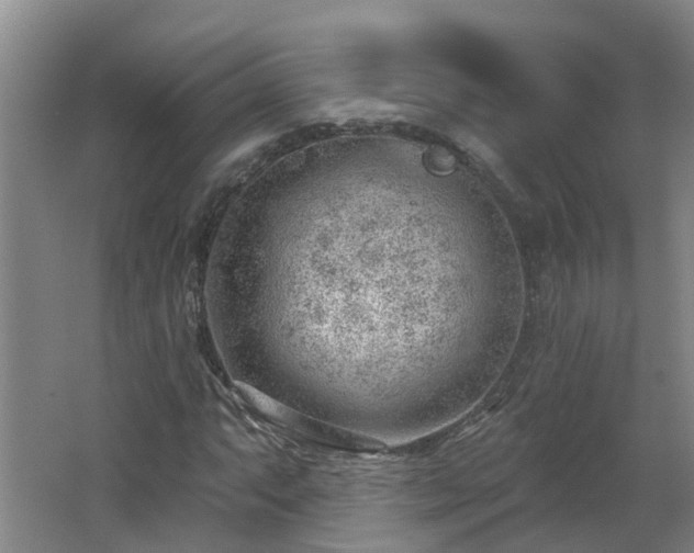 X0000062611063200512230913