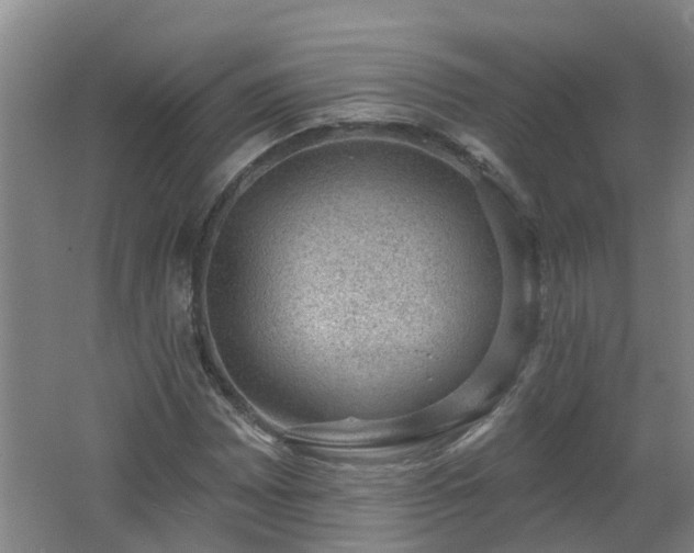 X0000062611065200512230913