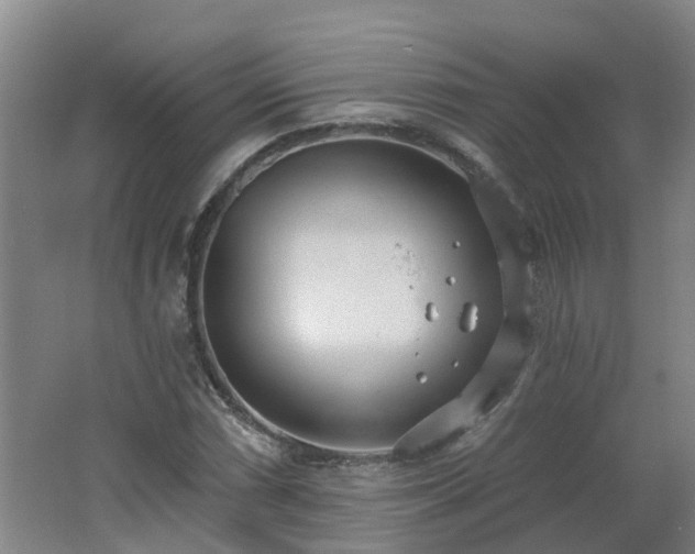 X0000062611066200512230913