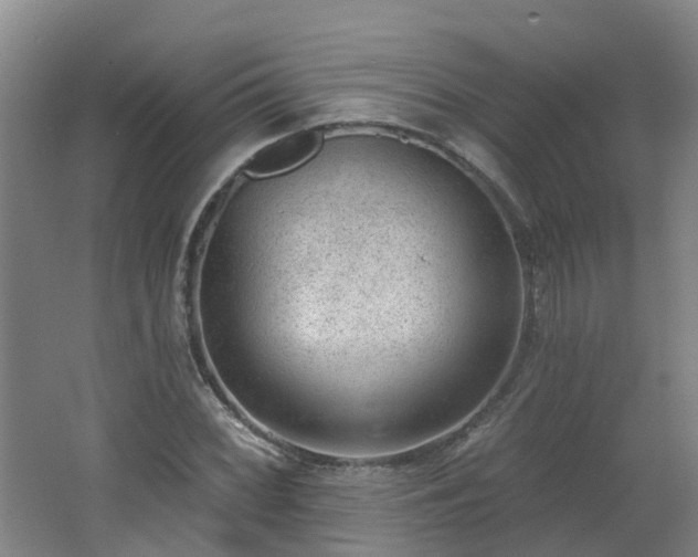 X0000062611068200512230913