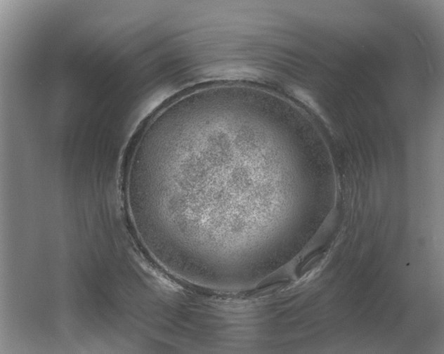 X0000062611071200512230913