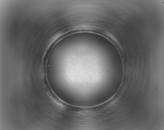 X0000062611075200512230913