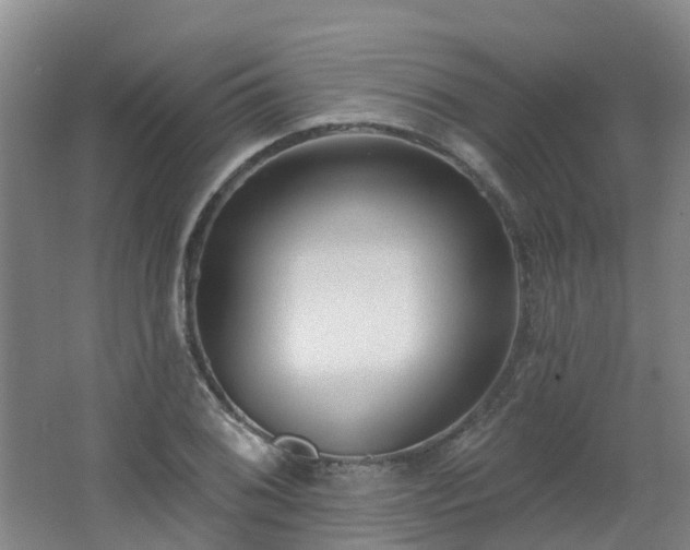 X0000062611076200512230913