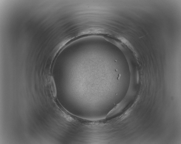 X0000062611081200512230913