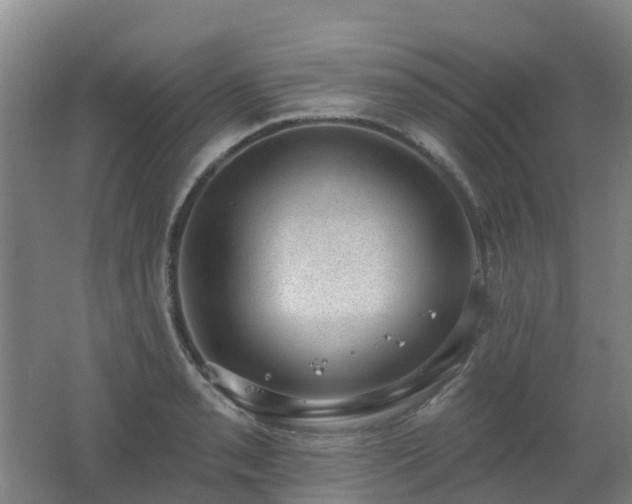 X0000062611085200512230913