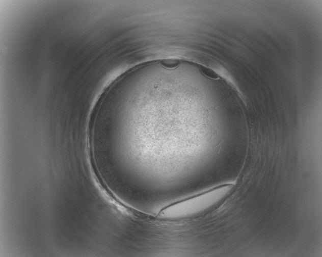 X0000062611088200512230913