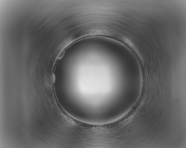 X0000062611089200512230913