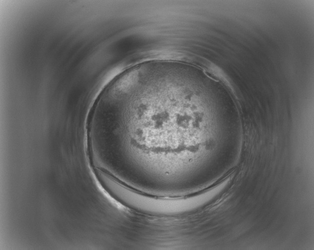 X0000062611095200512230913