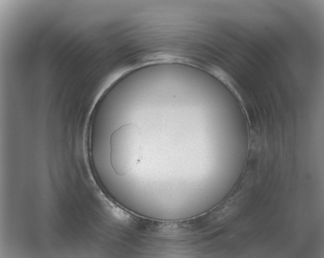 X0000062611098200512230913