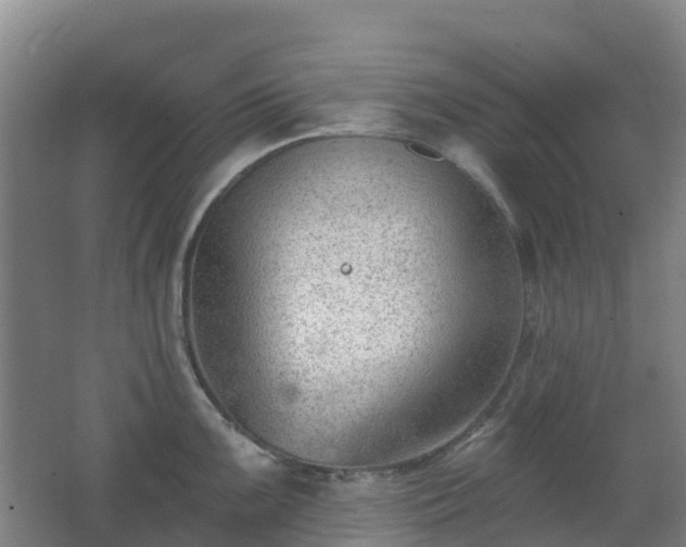 X0000062611099200512230913