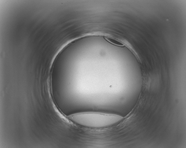 X0000062611100200512230913